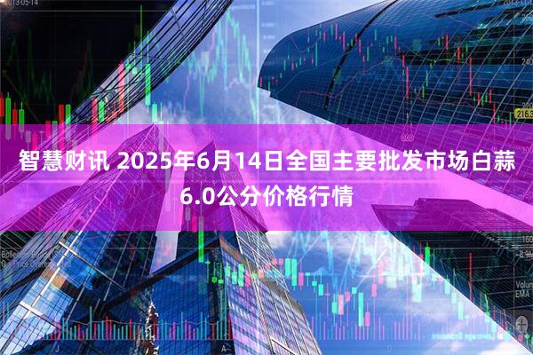 智慧财讯 2025年6月14日全国主要批发市场白蒜6.0公分价格行情