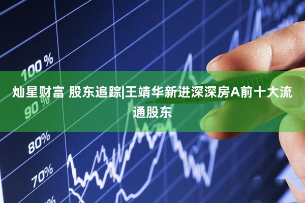 灿星财富 股东追踪|王靖华新进深深房A前十大流通股东