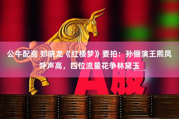 公牛配资 郑晓龙《红楼梦》要拍：孙俪演王熙凤呼声高，四位流量花争林黛玉