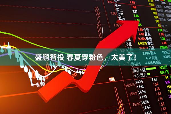 盛鹏智投 春夏穿粉色，太美了！